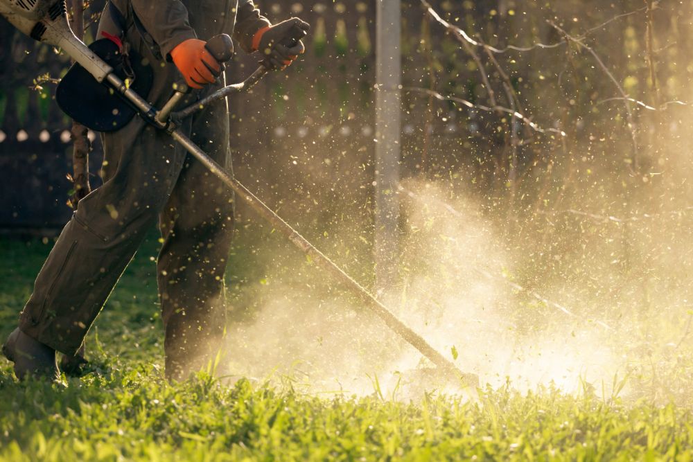 lawn mover on green grass machine for cutting lawn lluznss