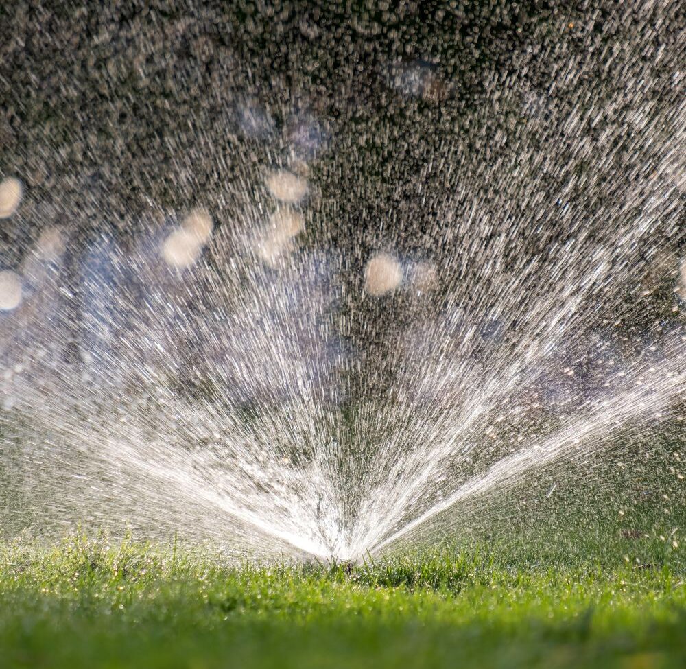 plastic sprinkler irrigating grass lawn with water gtfu9nd