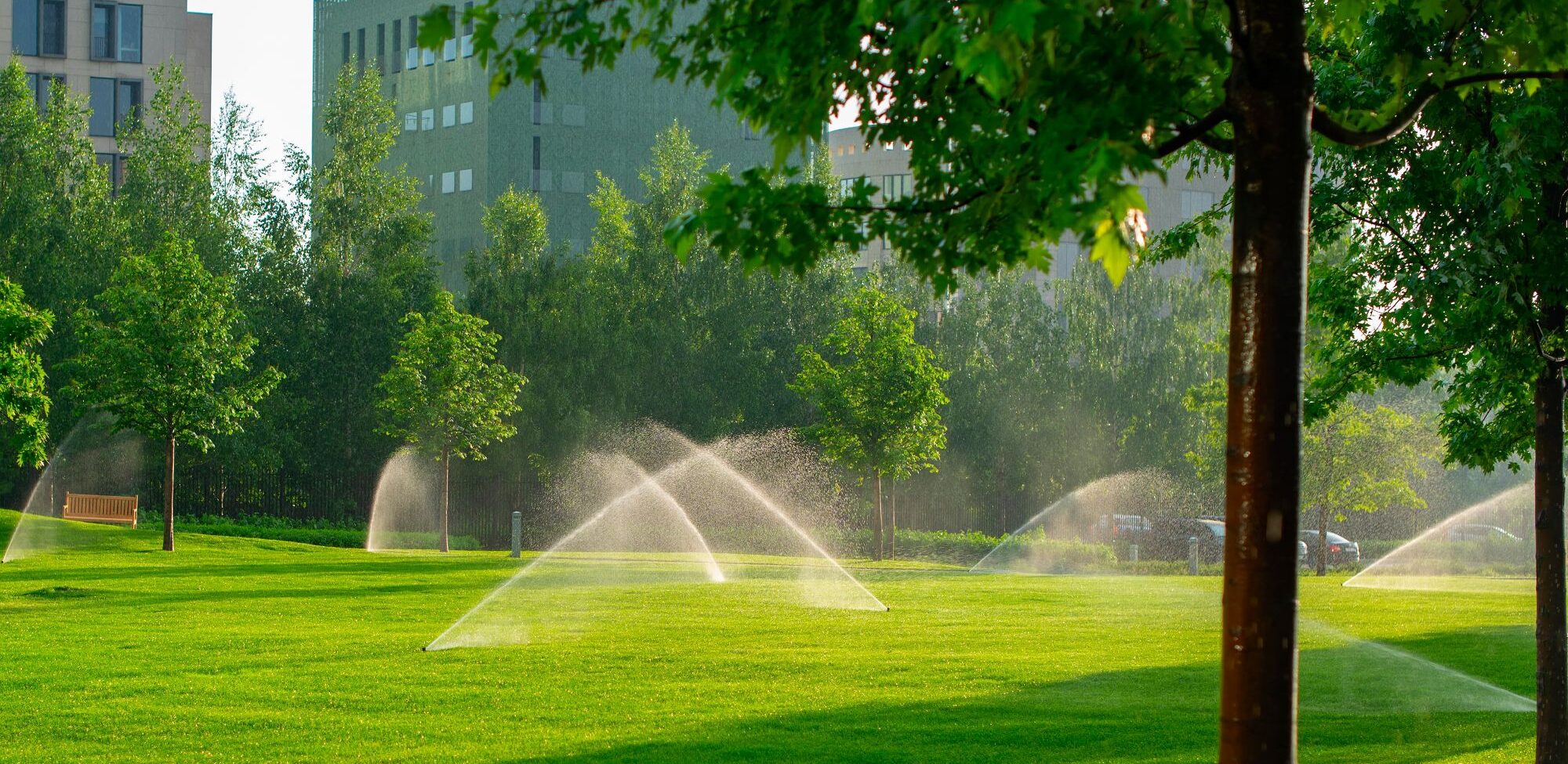 lawn with automatic watering system 82sufna