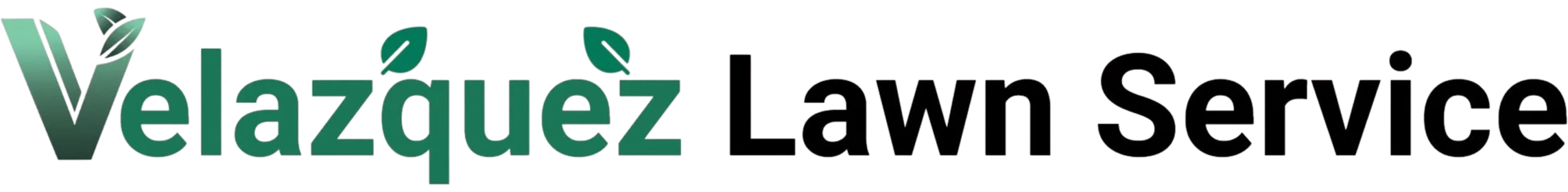 final logo vls