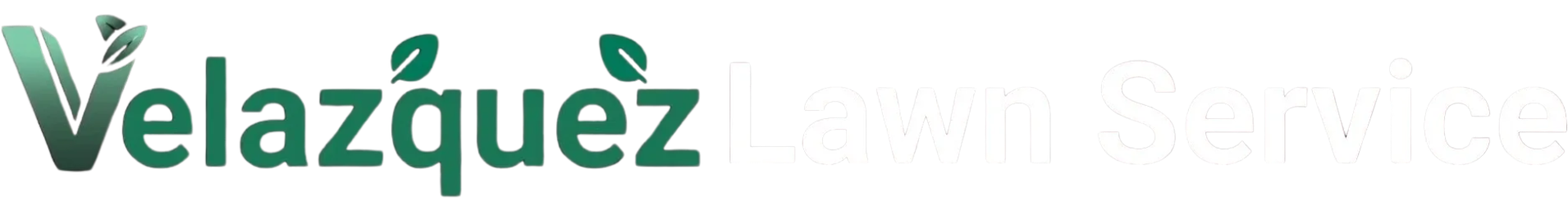 final logo vls inverted