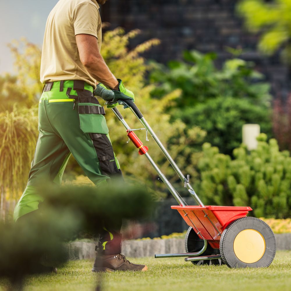 gardener with push spreader fertilizing residentia r4e7pfx.jpg